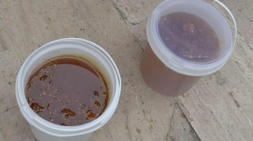 Ereğli&rsquo;de 20 Kilo Ka&ccedil;ak Bal Ele Ge&ccedil;irildi