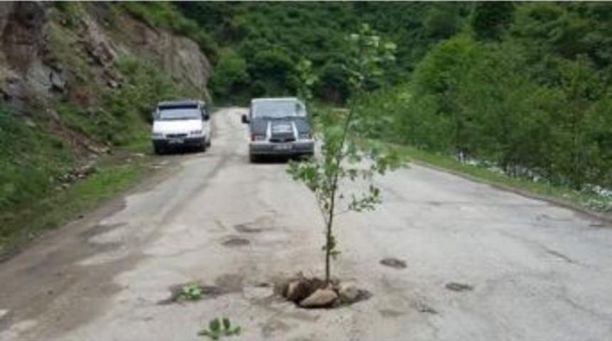 Giresun&rsquo;da İlgin&ccedil; Yol Eylemi
