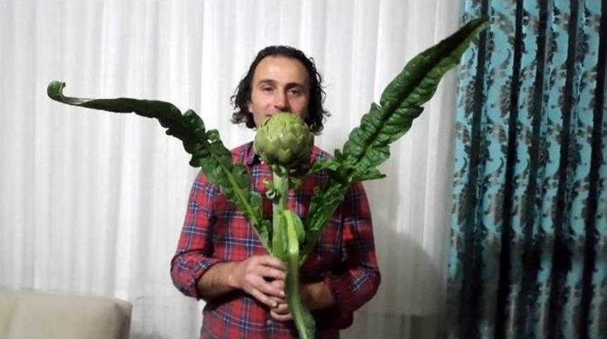 Osmanlı Enginarları Yeniden Yaygınlaşıyor