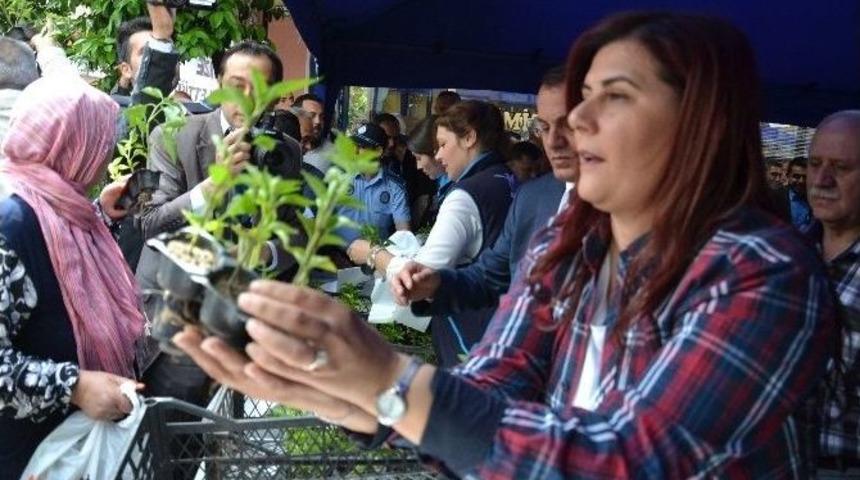 &Ccedil;er&ccedil;ioğlu, Nazilli&rsquo;de Fide Dağıttı