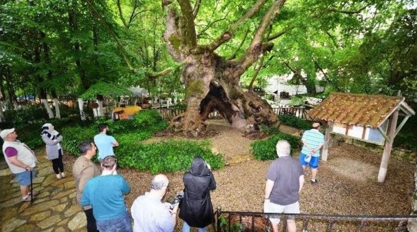 İngilizler Bodrum’un Güzelliklerini Dillerinden Düşürmüyor