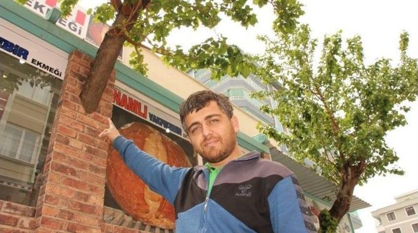 Karadenizli&rsquo;nin Ağa&ccedil; Sevgisi