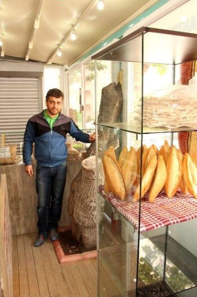 Karadenizli&rsquo;nin Ağa&ccedil; Sevgisi 2