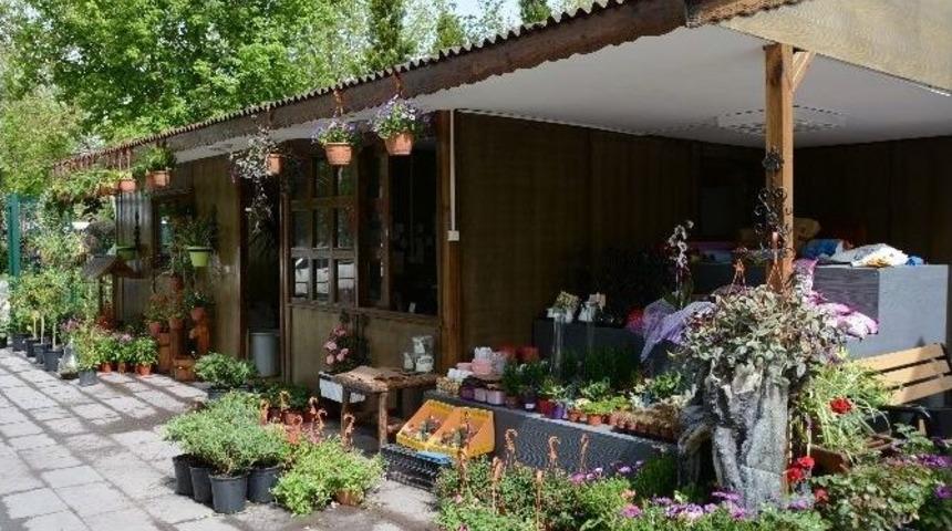Ankara&rsquo;nın &Ccedil;i&ccedil;eği Anfa&rsquo;dan