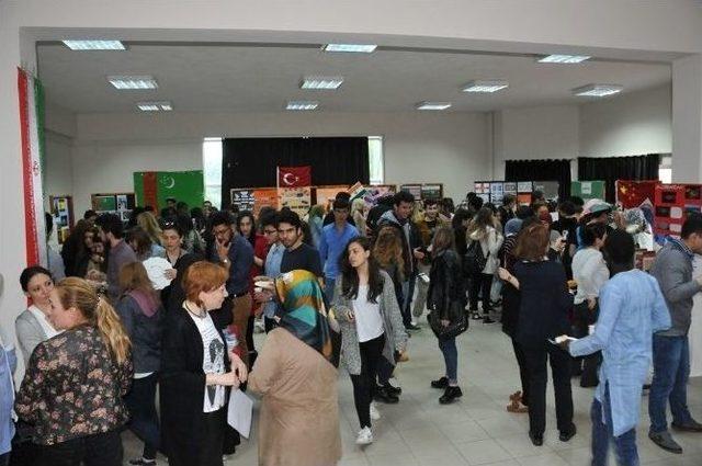 Yabancı Diller Yüksekokulu’nda “ıntercultural Day” Etkinliği