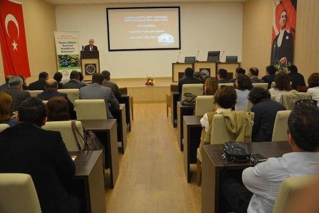 İncir Üretiminde Kadın Eli” Proje Tanıtım Toplantısı Yapıldı 1
