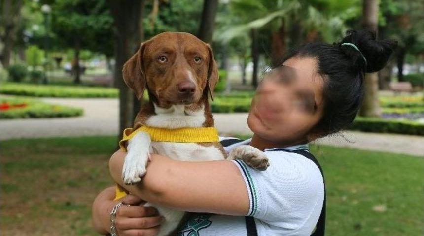 K&ouml;peğinin &Ouml;ld&uuml;r&uuml;lme Korkusu Y&uuml;z&uuml;nden Tedavi G&ouml;r&uuml;yor