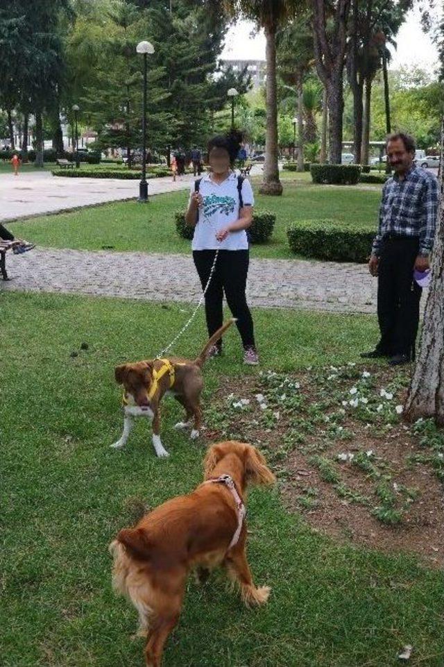 Köpeğinin Öldürülme Korkusu Yüzünden Tedavi Görüyor 1