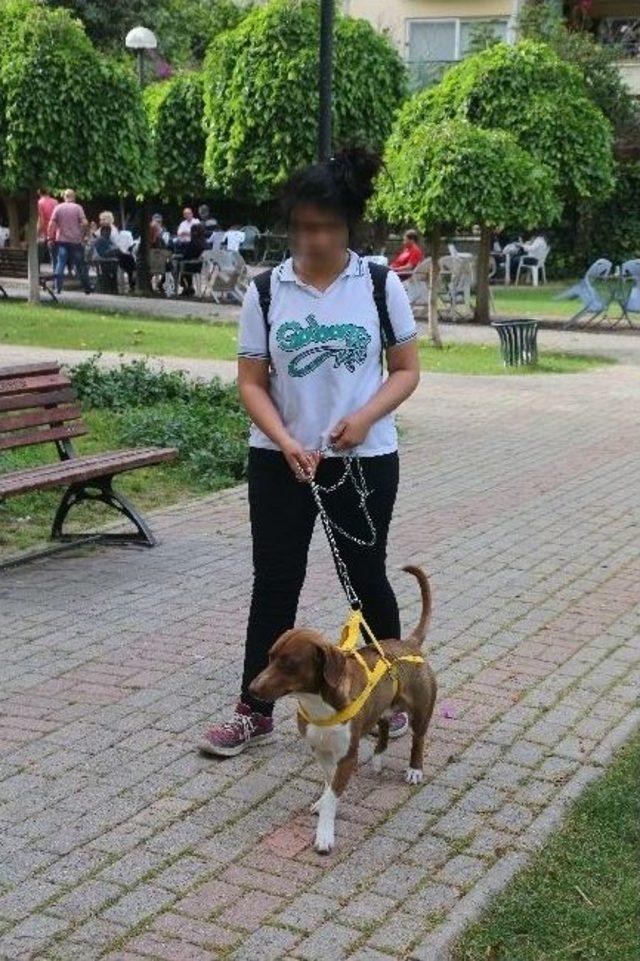Köpeğinin Öldürülme Korkusu Yüzünden Tedavi Görüyor 2