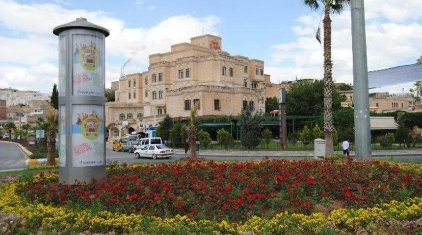 Peygamberler Şehrinde G&uuml;ller A&ccedil;tı