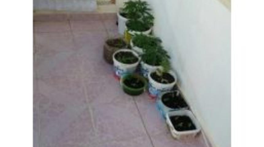 Balkonda Hint Kenevirine Polis Baskını