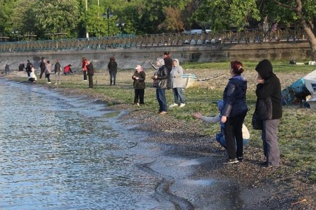 Tekirdağlı Kadınlar Hıdırellez İ&ccedil;in Sahile Akın Etti