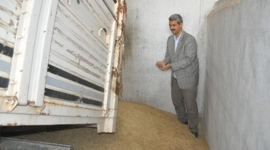 Mardin&rsquo;de İlk Arpa Hasadı Yapıldı