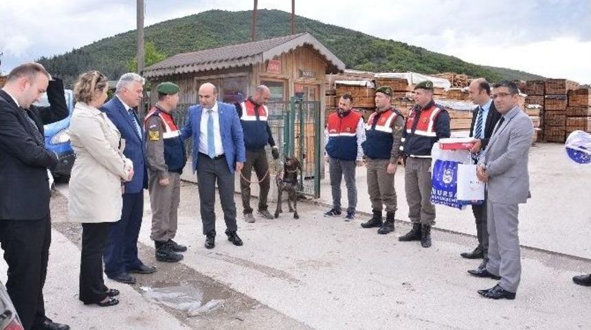 Bursa&rsquo;da Kuş U&ccedil;urtmayan G&uuml;venlik G&uuml;&ccedil;lerine Moral
