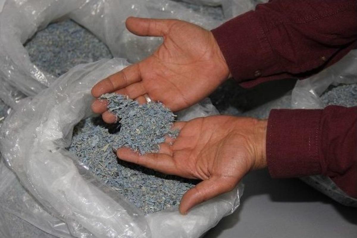 Karadeniz&rsquo;i Zehirleyeceklerdi: 2 G&ouml;zaltı