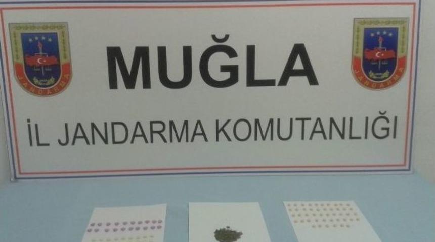 Muğla&rsquo;da Uyuşturucu Operasyonu