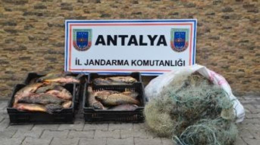 Jandarmadan Ka&ccedil;ak Ava Su&ccedil;&uuml;st&uuml;