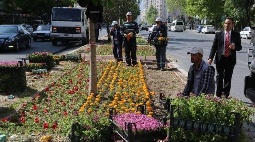 Melikgazi &Ccedil;i&ccedil;ek A&ccedil;tı