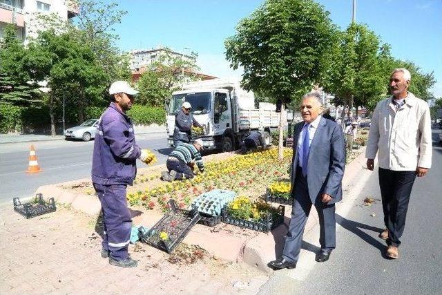 Melikgazi Çiçek Açtı