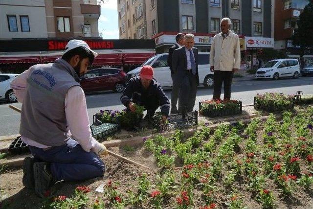 Melikgazi Çiçek Açtı