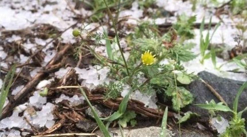 Oltu&rsquo;ya Dolu Yağdı