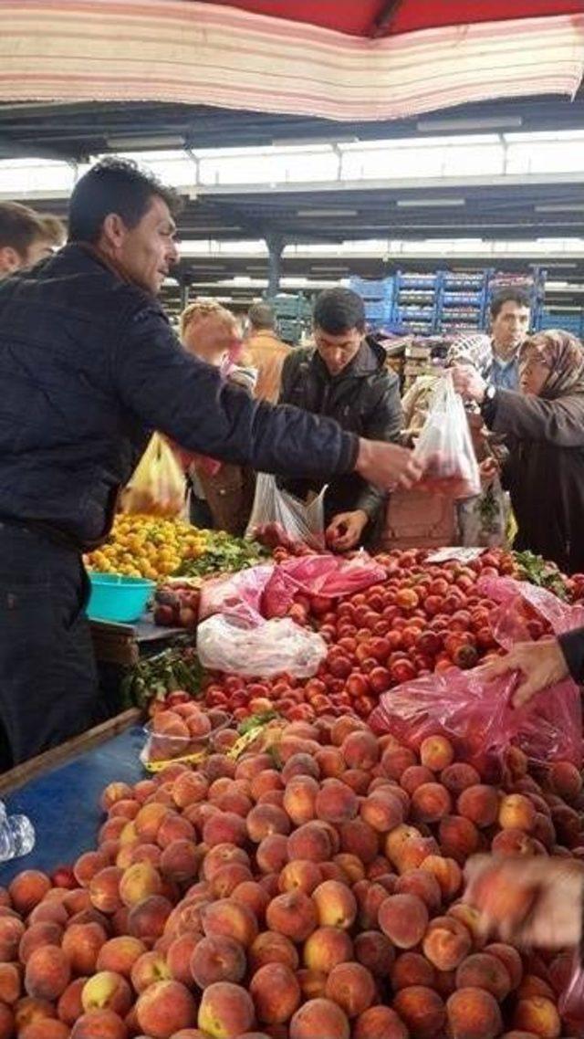 Yerli Kirazlar Görücüye Çıktı