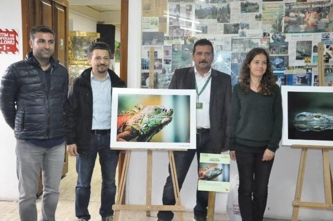 Hayvanat Bah&ccedil;esinde &ldquo;doğa Ve Sanat&rdquo; Sergisi