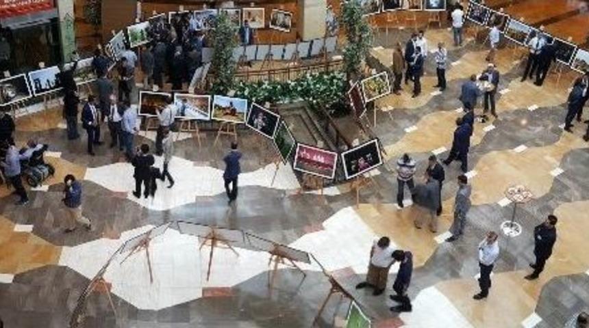 Her An Harran Sergisi A&ccedil;ıldı