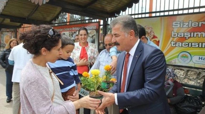 Başkan Tuna, Annelere 50 Bin &Ccedil;i&ccedil;ek Dağıttı