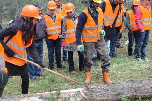 Orman Fakültesi Öğrencileri Ormanda