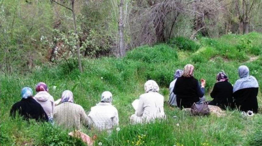 Hisarcık&rsquo;ta Hıdrallez Geleneği