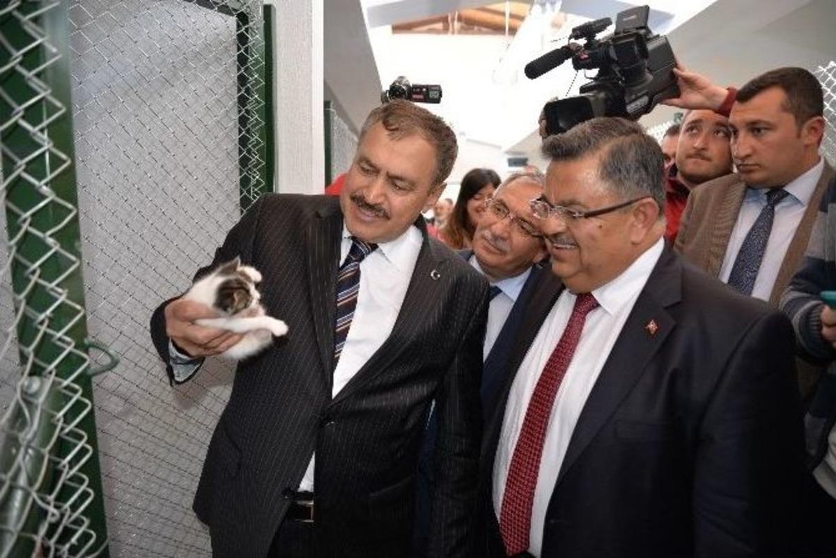 Bakan Eroğlu, Bilecik&rsquo;te Sokak Hayvanları Tedavi Ve Rehabilitasyon Merkezi&rsquo;ni A&ccedil;tı