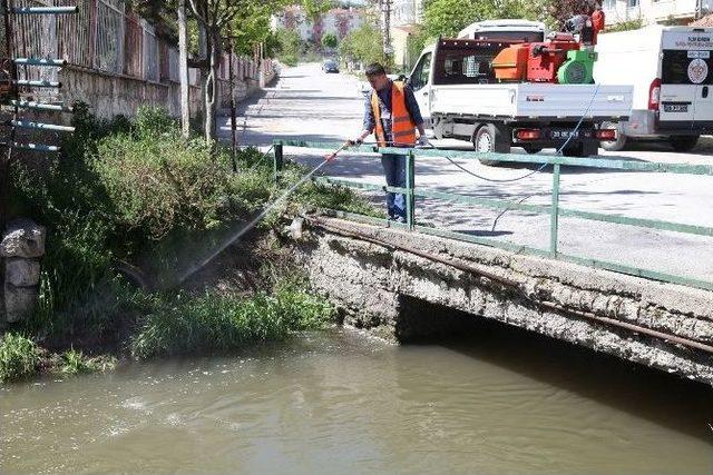 Çiftçi Ve Hayvan Dostu Belediye 2