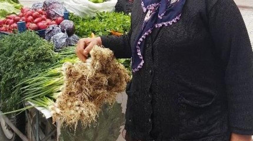 (&ouml;zel Haber) Seyyar Satıcı Kadın Hem &Ccedil;ocuklarına Hem Kocasına Bakıyor