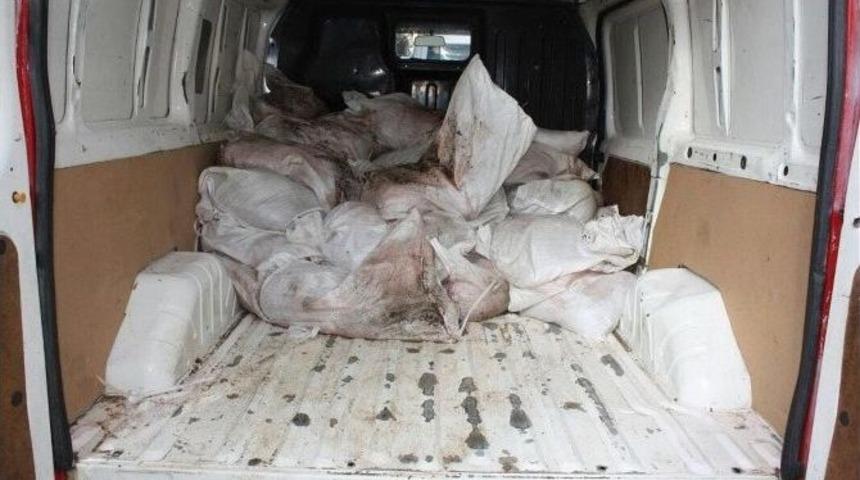 Edirne&rsquo;de 875 Kilogram Ka&ccedil;ak Et Ele Ge&ccedil;irildi
