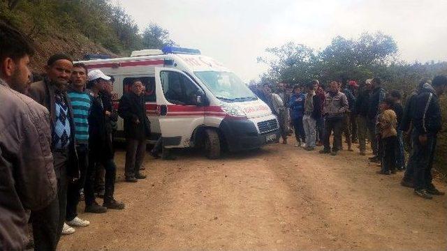 Trakt&ouml;r U&ccedil;uruma Yuvarlandı: 1 &Ouml;l&uuml;, 9 Yaralı 1