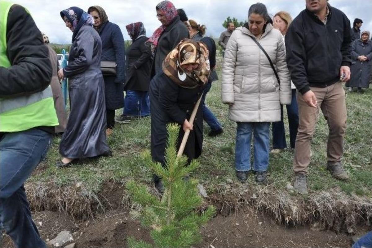 Ak Kadınlar Fidanları Toprakla Buluşturdu