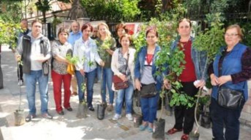 Chp &Ouml;demiş&rsquo;ten Annelere Meyve Fidanı