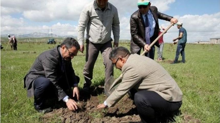 Ağrı İbrahim &Ccedil;e&ccedil;en &Uuml;niversitesi&rsquo;nde Kamp&uuml;s Ağa&ccedil;landırma &Ccedil;alışmaları Devam Ediyor