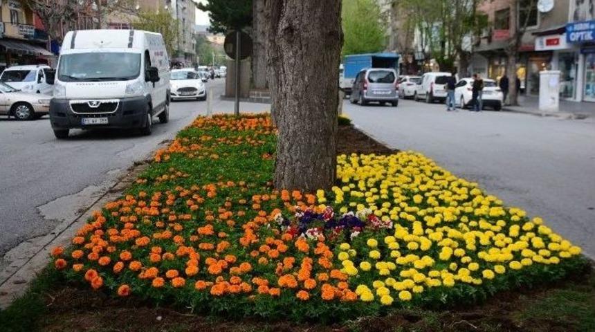 Tatvan &Ccedil;i&ccedil;eklerle S&uuml;slendi