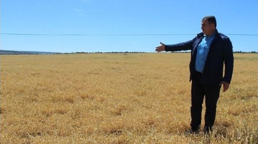 Yavuzeli&rsquo;nde Kuraklık &Ccedil;ift&ccedil;ileri Mağdur Etti