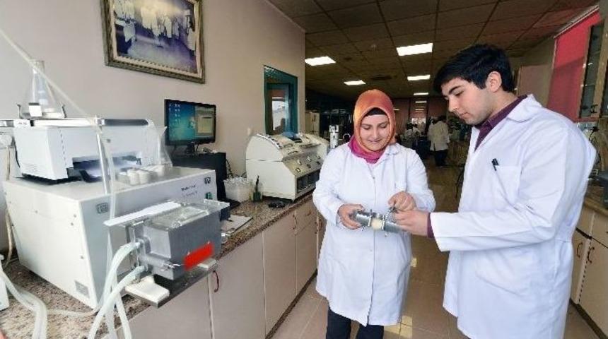 Halk Ekmek &Uuml;r&uuml;nlerine G&uuml;nl&uuml;k Analiz