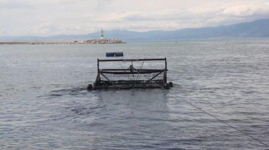 Burhaniye&rsquo;de Deniz Temizliği