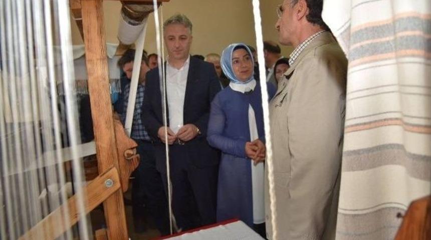 Prookol&uuml; Buluşturan Sergi