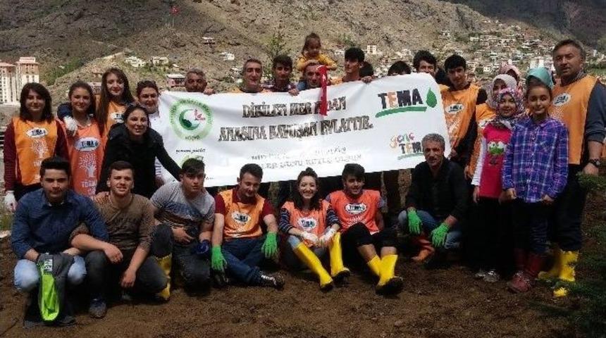 G&uuml;m&uuml;şhane&rsquo;de Anneler İ&ccedil;in 2016 Fidan