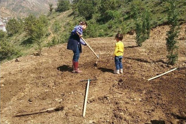 Gümüşhane’de Anneler İçin 2016 Fidan