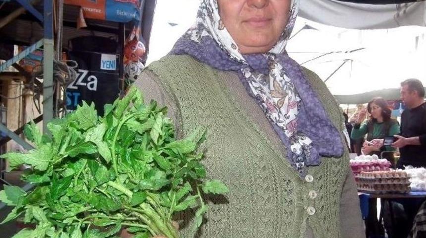 Kendi Tohumlarından Fide &Uuml;retiyor