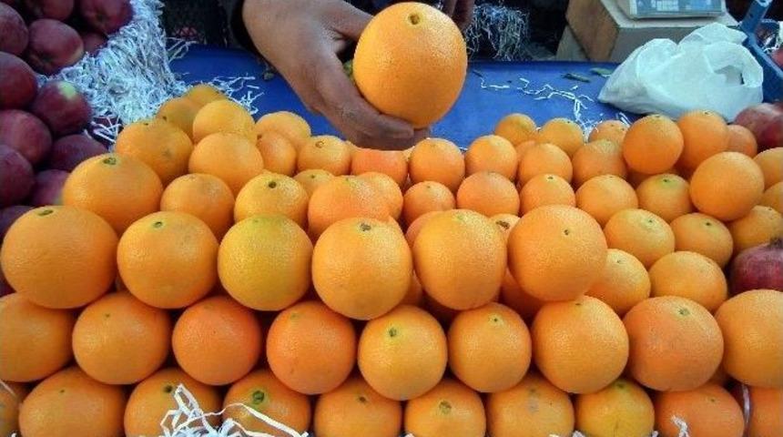 Kaya; &ldquo;narenciye &Uuml;reticisi Ağa&ccedil;ları S&ouml;kmeye Hazırlanıyor&rdquo;