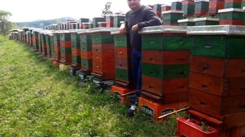 Ga&uuml; Kıbrıs Arısını D&uuml;nyaya Tanıtıyor