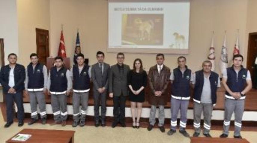 Sokak K&ouml;pekleri Hakkında Bilin&ccedil;lendiler